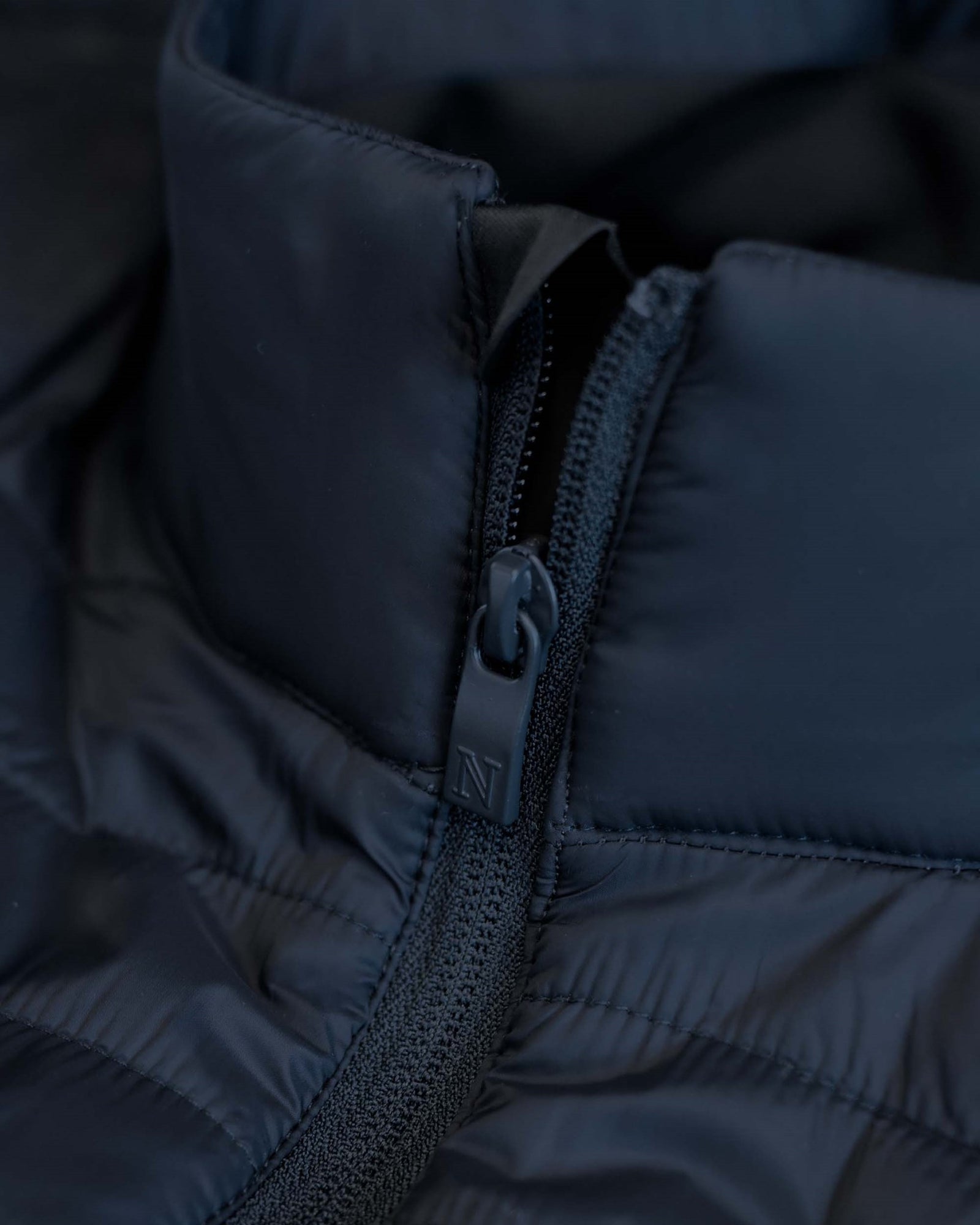 Olympia Men Navy Back